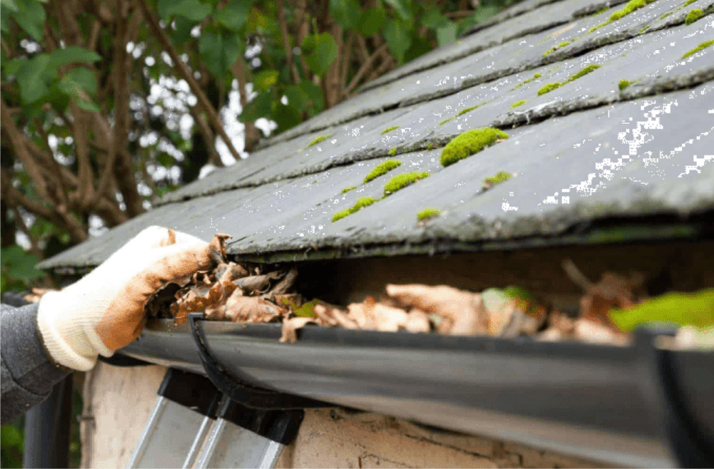 Gutter Cleaning